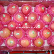 Fresh Qinguan Apple Red Apple